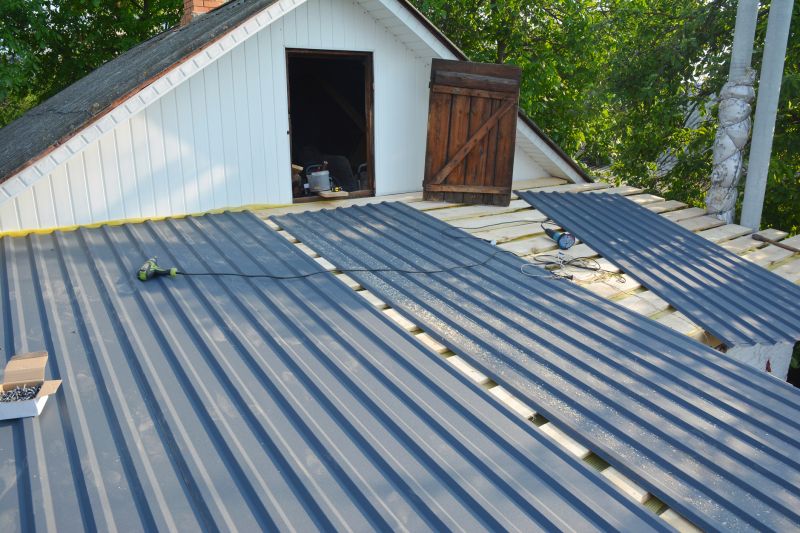 Damaged Roof Replacement detail
