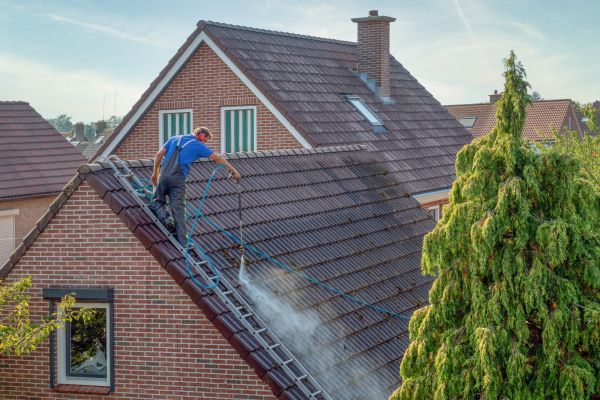 Professional House Roof Cleaning