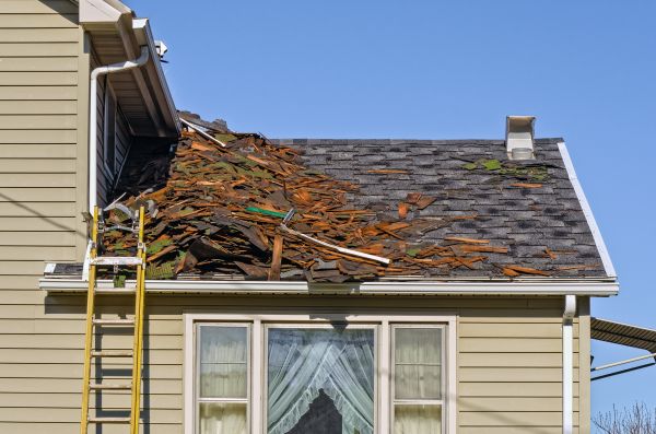 Professional Roof Debris Removal