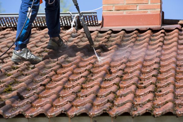 Professional Shingle Roof Washing